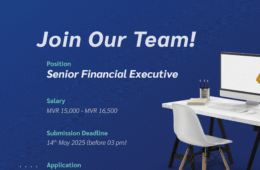 Job Announcement - Senior Financial Executive 30042025